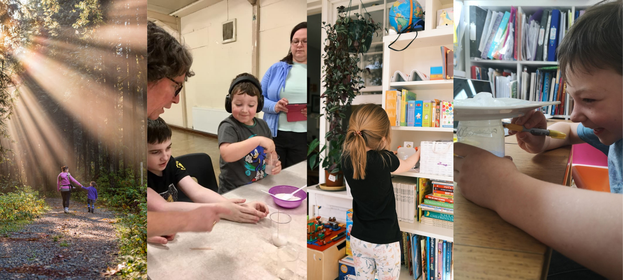 Indoor and outdoor activities - walking, arts and crafts